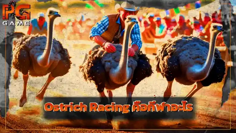 Ostrich Racing คือกีฬาอะไร