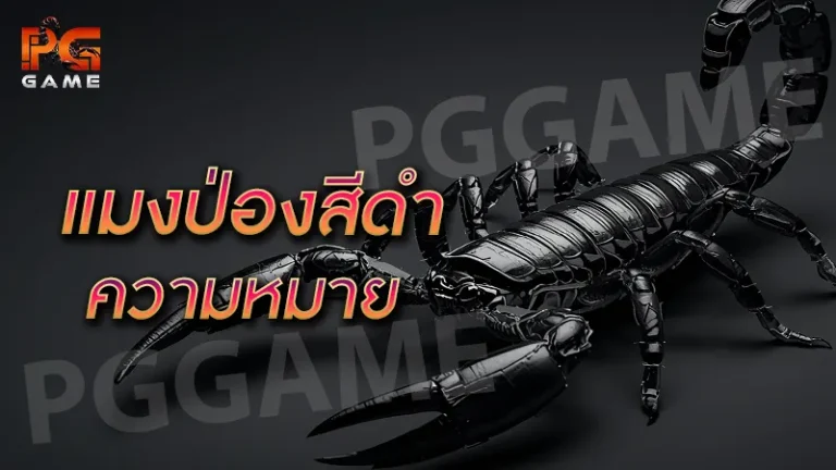 แมงป่องสีดำ ความหมาย